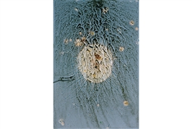 Centre national de l'audiovisuel in Luxembourg to open a major space for photography