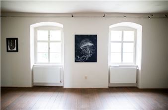 Lucia Fabová: Odpoveď je niekde medzi nula a nekonečno - Schemnitz Gallery