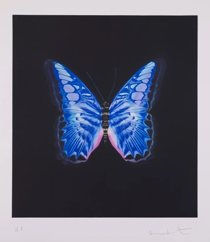 Damien Hirst: paintings. drawings, prints at Andipa